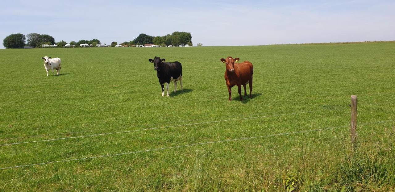 Gastenverblijf Aan De Bagijnstraat Heumen Esterno foto